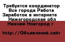 Требуется координатор - Все города Работа » Заработок в интернете   . Нижегородская обл.,Нижний Новгород г.